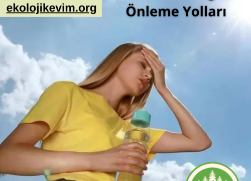 Sıcak Çarpması ve Sıcak Bitkinliğini Önleme Yolları