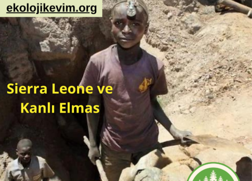 Sierra Leone ve Kanlı Elmas