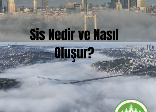 Sis Nedir ve Nasıl Oluşur?