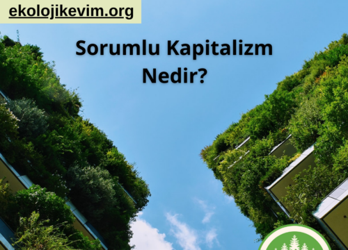 Sorumlu Kapitalizm Nedir?