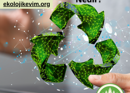 Sorumlu Tüketim Nedir?