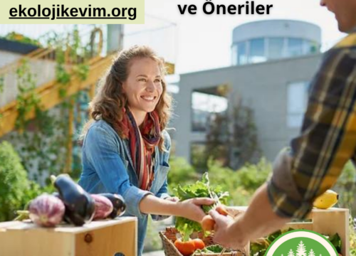 Toksik Atıklardan Kaçınmak İçin İpuçları ve Öneriler