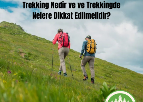 Trekking Nedir ve Nelere Dikkat Edilmelidir?