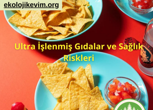 Ultra İşlenmiş Gıdalar ve Sağlık Riskleri