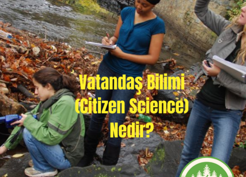 Vatandaş Bilimi (Citizen Science) Ne Demektir?