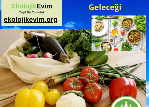 Vejetaryenlik ve Bitki Temelli Beslenmenin Geleceği
