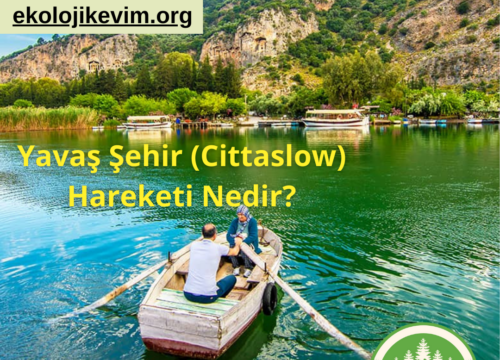 Yavaş Şehir (Cittaslow) Hareketi Nedir?