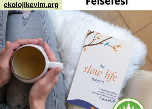 Yavaş Yaşamanın Felsefesi