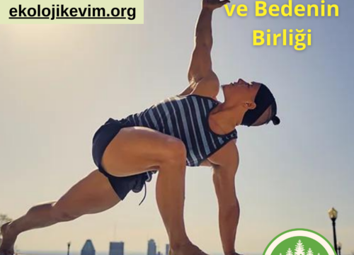 Zihnin ve Bedenin Birliği Yoga Nedir?