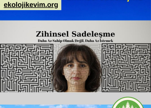 Zihinsel Sadeleşme ve Minimalizm
