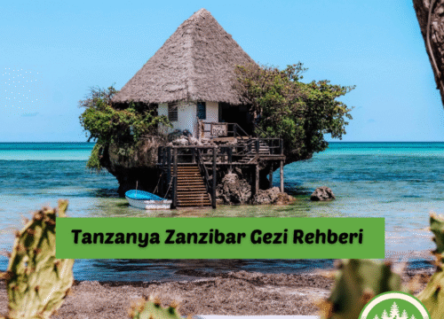 Tanzanya Ngorongoro Koruma Alanı Gezi Rehberi