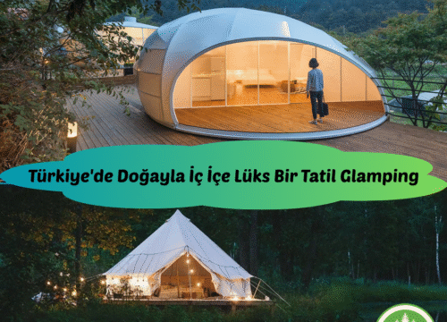 Türkiye’de Doğayla İç İçe Lüks Bir Tatil Glamping