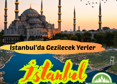 İstanbul Ağaçlı Kumulları Tanıtımı ve Doğal Güzellikleri