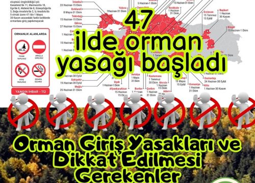 47 İlde Yasak Başladı: Orman Giriş Yasakları ve Dikkat Edilmesi Gerekenler
