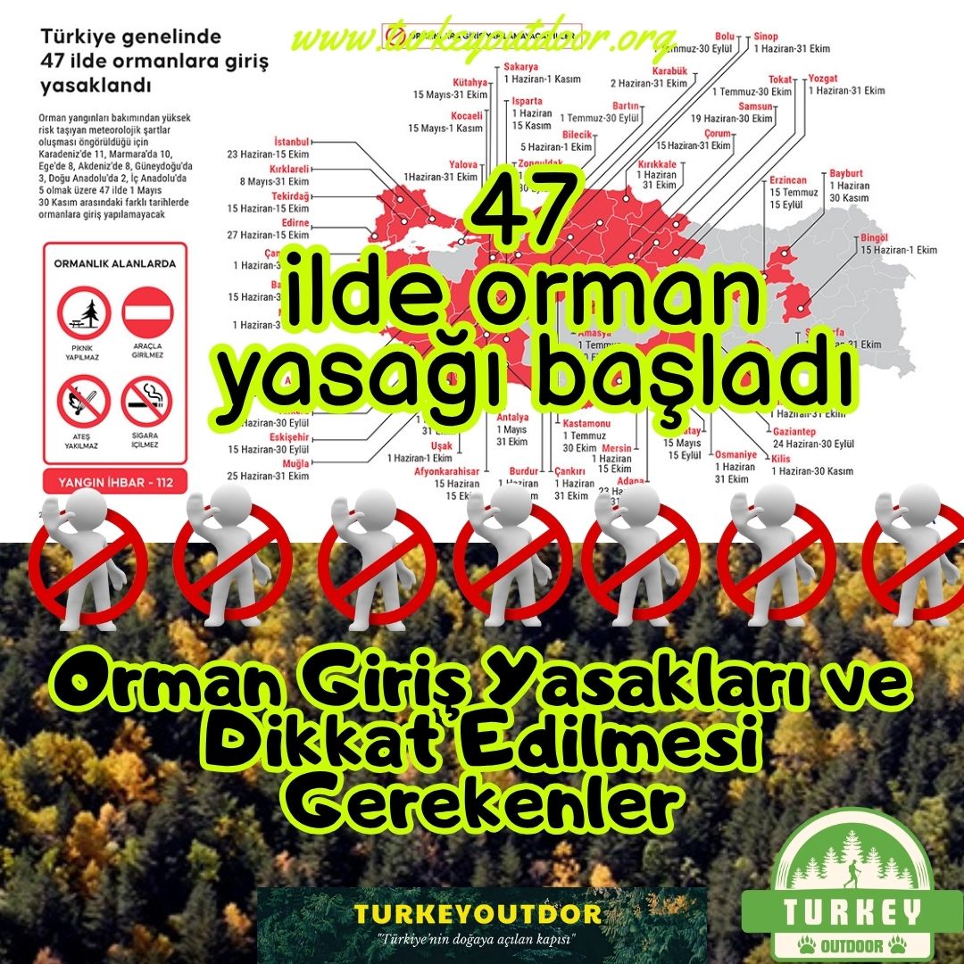 47 ilde Ormanlara Girişler Yasaklandı (1)