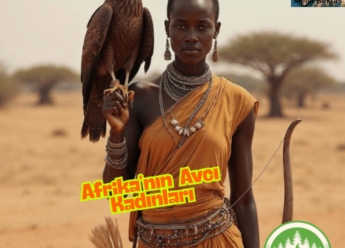 Afrika’nın Avcı Kadınları