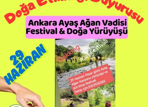 Ankara Ayaş Ağan Vadisi Festival & Doğa Yürüyüşü