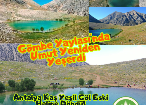 Yağışlar Sonrasında Antalya Gömbe Yaylası’nda Umut Yeniden Yeşerdi