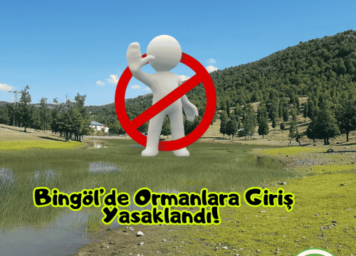 Bingöl’de Ormanlara Giriş Yasaklandı!