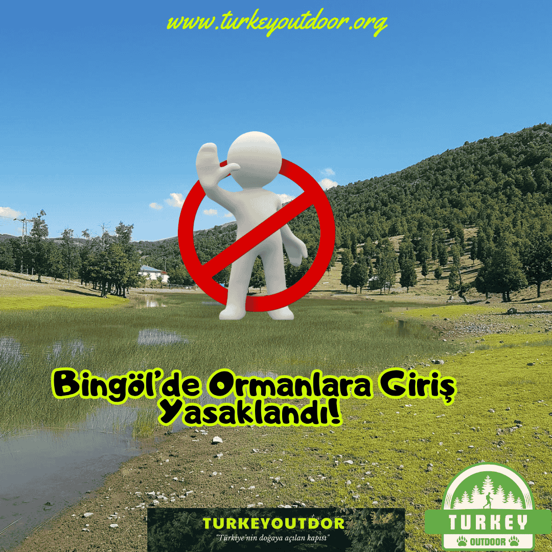 Bingölde Ormanlara Giriş Yasaklandı!