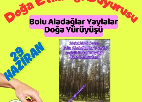 Bolu Aladağlar Yaylalar Doğa Yürüyüşü