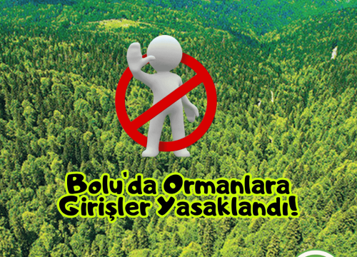 Bolu’da Ormanlara Girişler Yasaklandı!