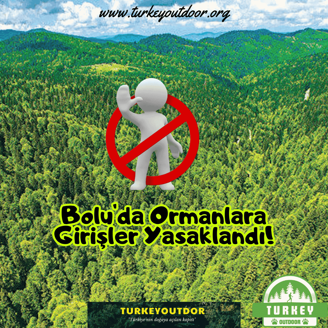 Boluda Ormanlara Girişler Yasaklandı