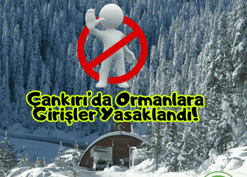 Çankırı’da Ormanlara Girişler Yasaklandı!