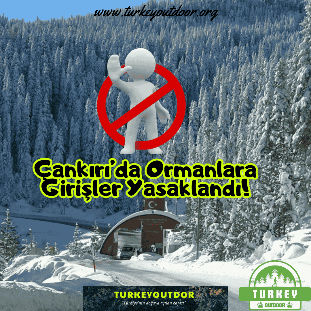 Çankırıda Ormanlara Girişler Yasaklandı!