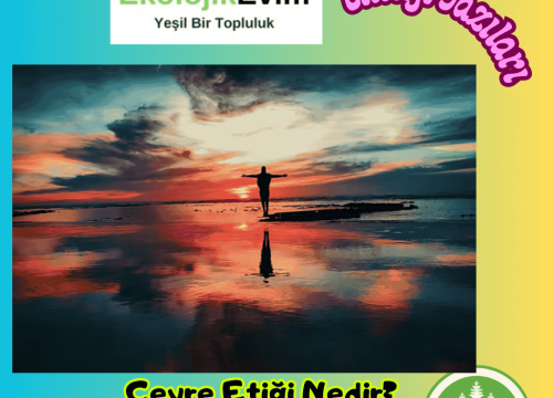 Çevre Etiği Nedir?