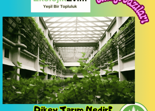 Dikey Tarım Nedir?