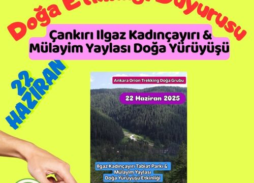 Çankırı Ilgaz Kadınçayırı & Mülayim Yaylası Doğa Yürüyüşü