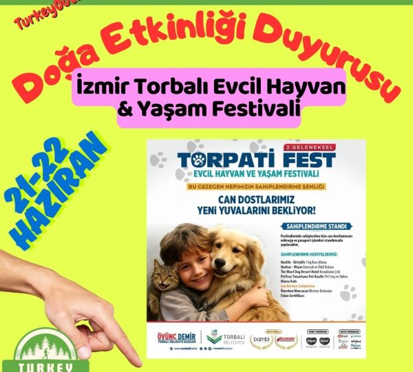 Doğa ve Outdoor Etkinlikleri (27)