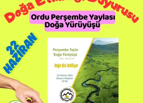 Ordu Perşembe Yaylası Doğa Yürüyüşü