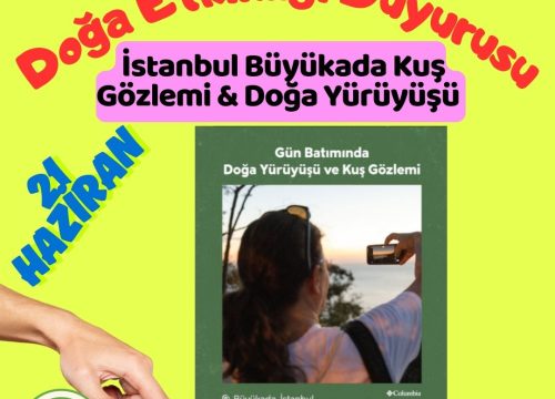 İstanbul Büyükada Kuş Gözlemi & Doğa Yürüyüşü