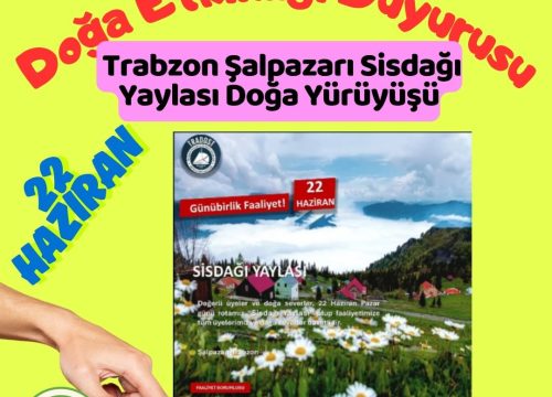 Trabzon Şalpazarı Sisdağı Yaylası Doğa Yürüyüşü