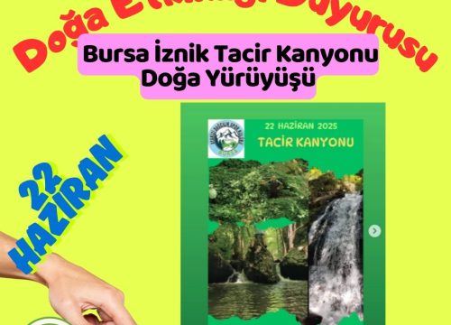 Bursa İznik Tacir Kanyonu Doğa Yürüyüşü
