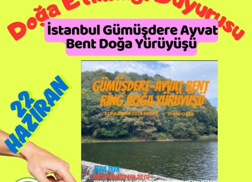 İstanbul Gümüşdere Ayvat Bent Doğa Yürüyüşü