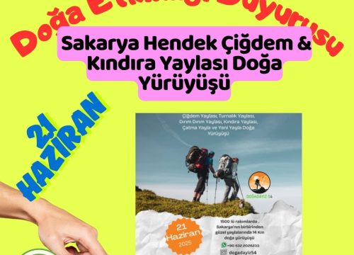 Sakarya Hendek Çiğdem & Kındıra Yaylası Doğa Yürüyüşü