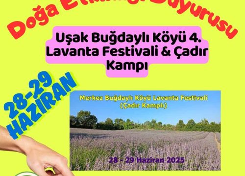 Uşak Buğdaylı Köyü 4. Lavanta Festivali & Çadır Kampı