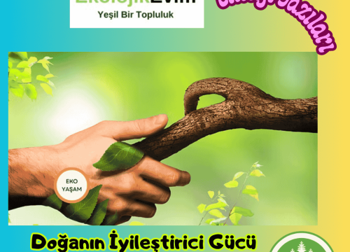 Doğanın İyileştirici Gücü