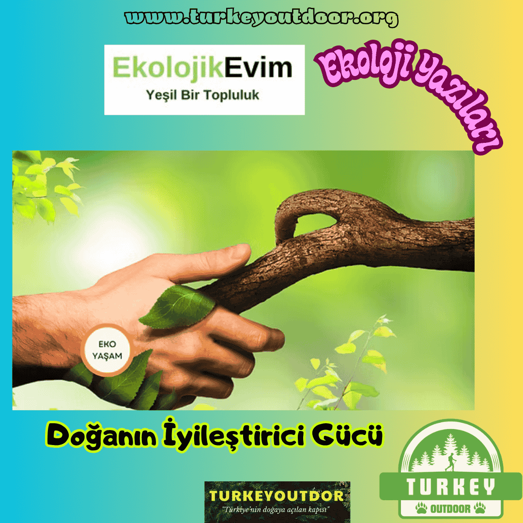 Doğanın İyileştirici Gücü