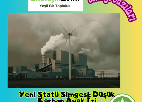 Yeni Statü Simgesi: Düşük Karbon Ayak İzi
