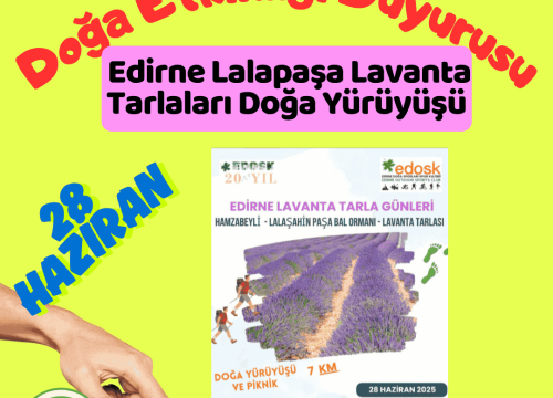 Edirne Lalapaşa Lavanta Tarlaları Doğa Yürüyüşü