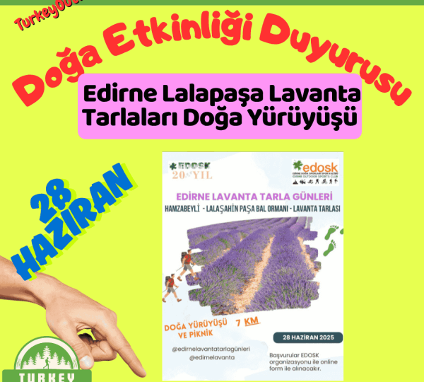 Edirne Lalapaşa Lavanta Tarlaları Doğa Yürüyüşü