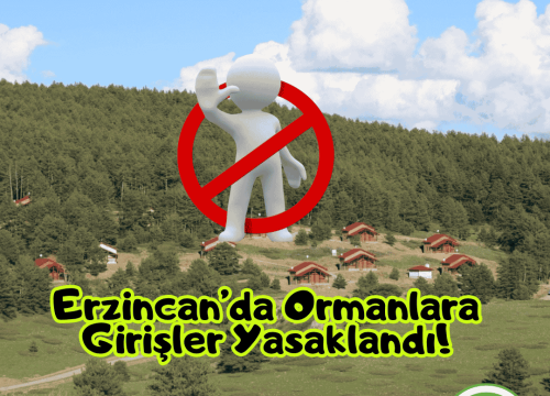 Erzincan’da Ormanlara Girişler Yasaklandı!