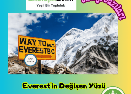 Everest’in Değişen Yüzü
