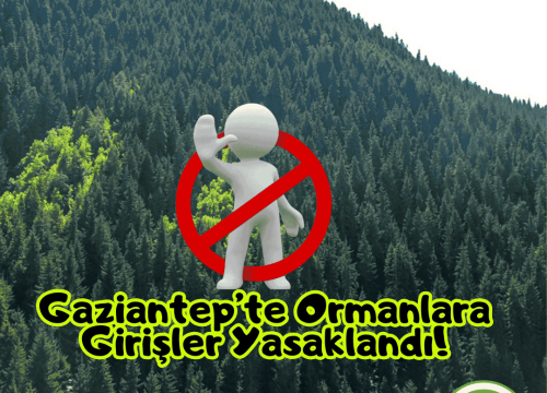 Gaziantep’te Ormanlara Girişler Yasaklandı!