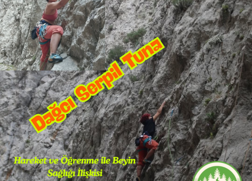 Hareket ve Öğrenme ile Beyin Sağlığı İlişkisi