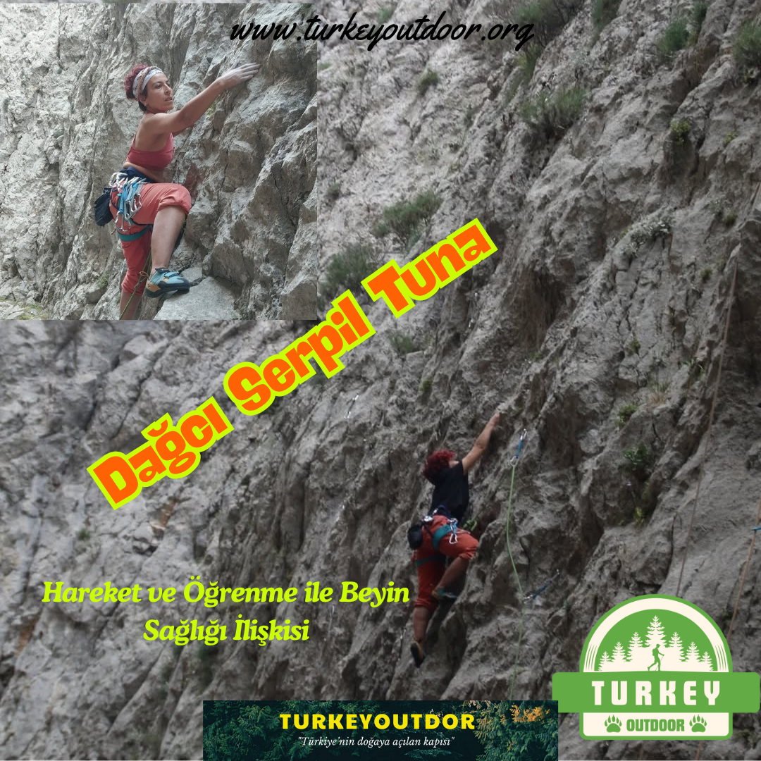 Hareket ve Öğrenme ile Beyin Sağlığı İlişkisi
